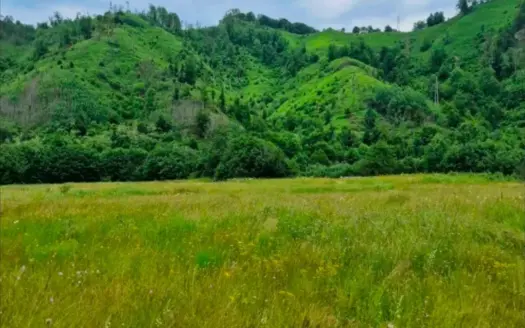 Land for sale, Veruša