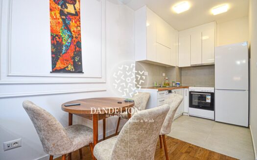 One bedroom apartment for rent, Stari Aerodrom, Podgorica