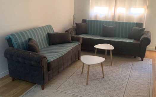 One bedroom apartment for rent and sale, Central Point, Podgorica