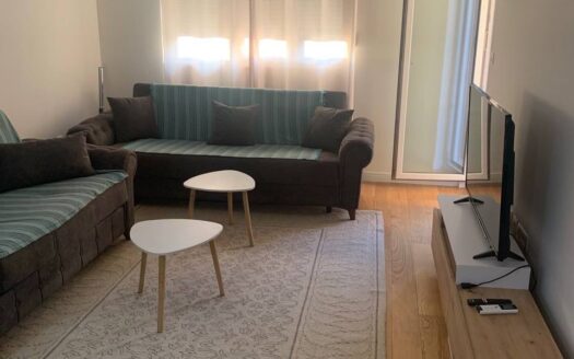 One bedroom apartment for rent and sale, Central Point, Podgorica