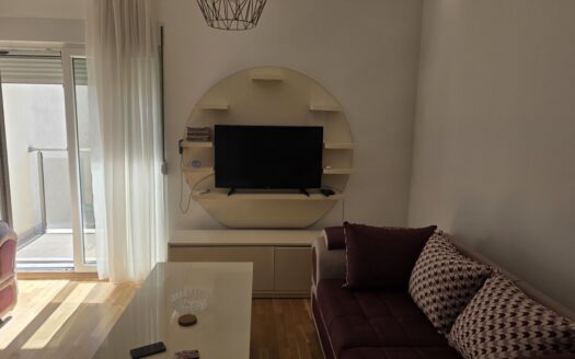 Two bedroom apartment for rent, Blok 9, Podgorica