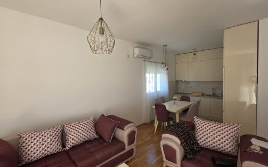 Two bedroom apartment for rent, Blok 9, Podgorica