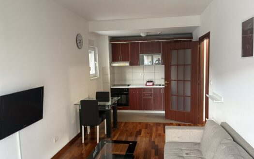 One bedroom apartment for rent, City kvart, Podgorica