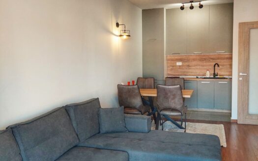 One bedroom apartment for rent, Master kvart, Podgorica