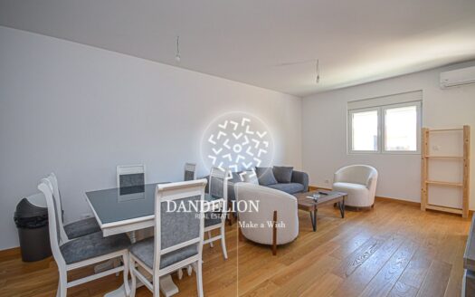 Two bedroom apartment for rent, New City, Podgorica