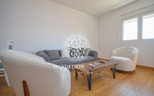 Two bedroom apartment for rent, New City, Podgorica